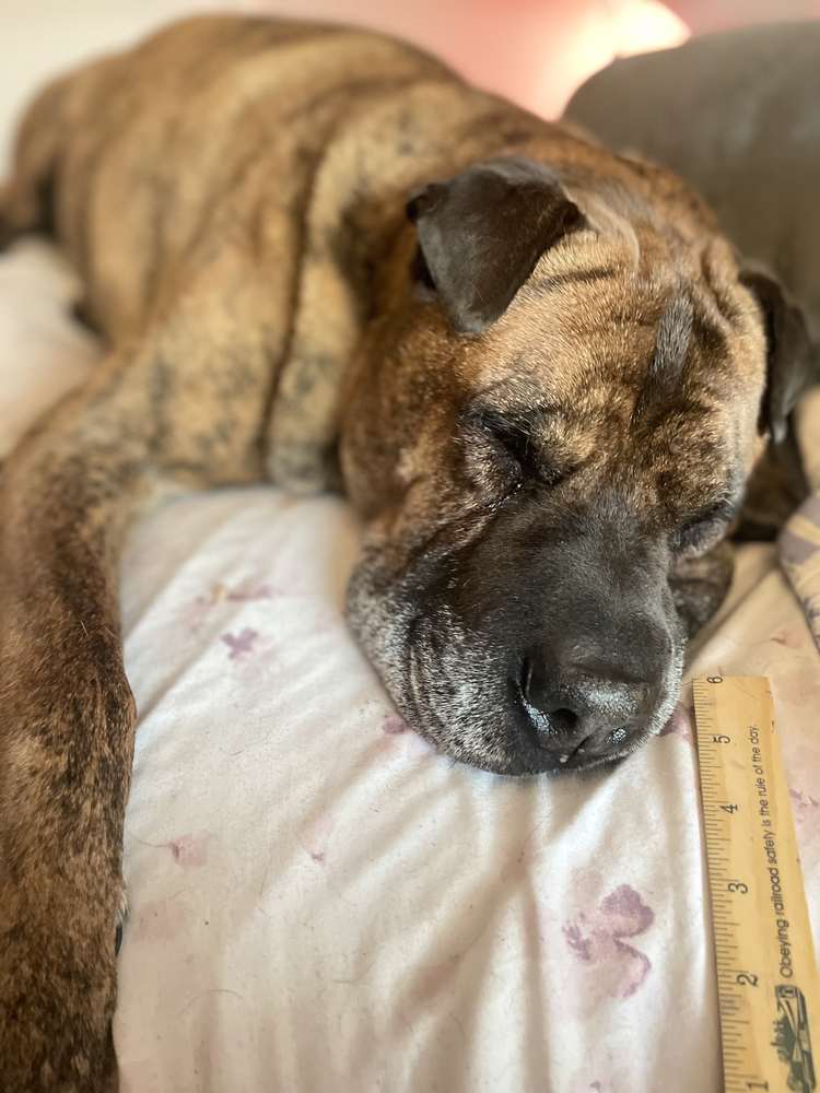 Bane asleep